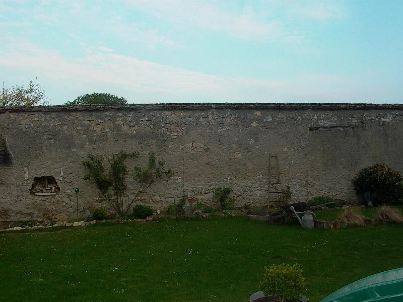 P1040504.JPG